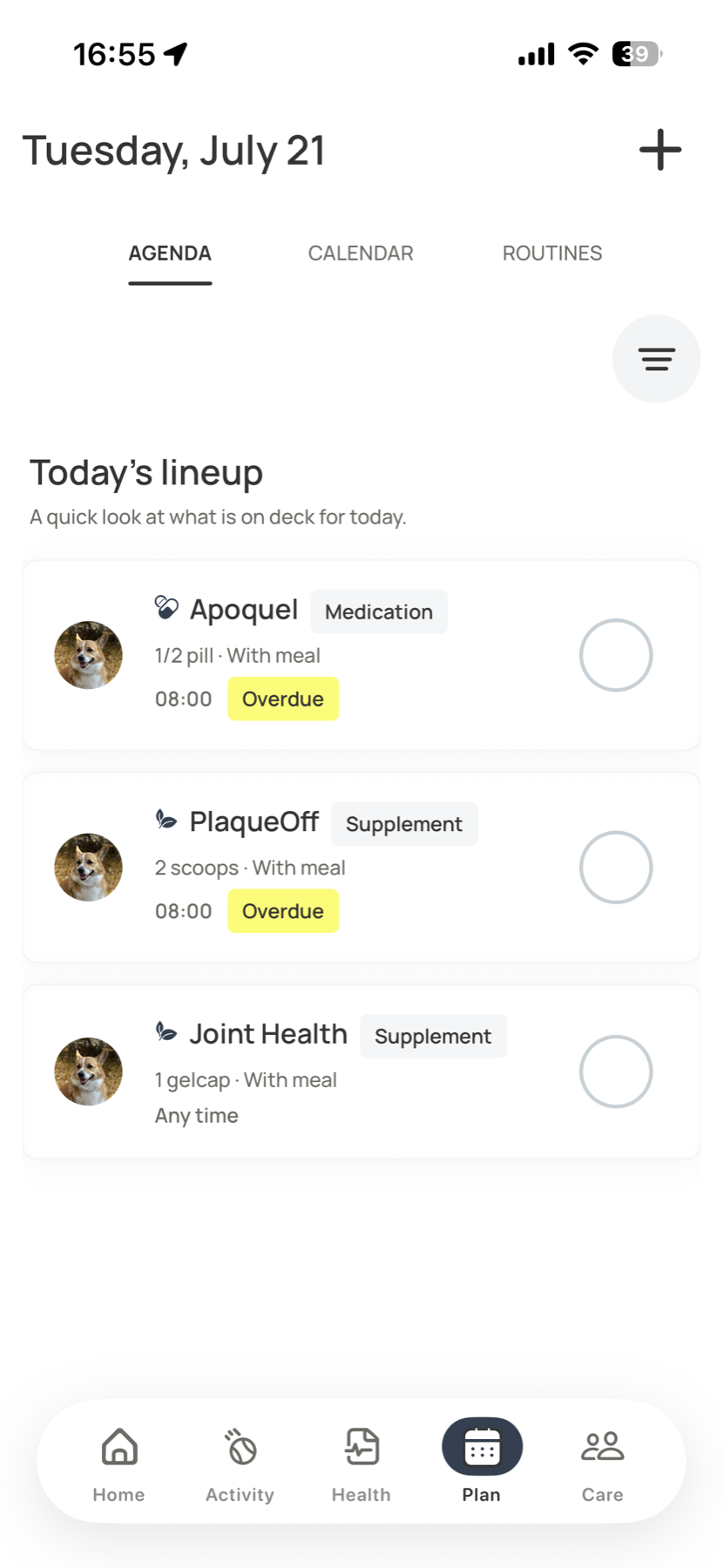 Voffi Today lineup with scheduled medication and supplement tasks